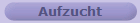 Aufzucht