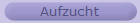 Aufzucht