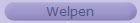 Welpen