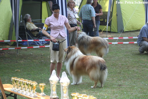 Bad Salzhausen