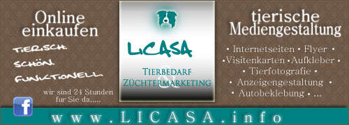 banner_licasa02