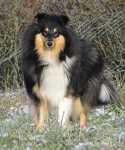 behklein04