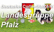 pfalz03