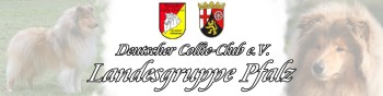 pfalzbannerneuklein