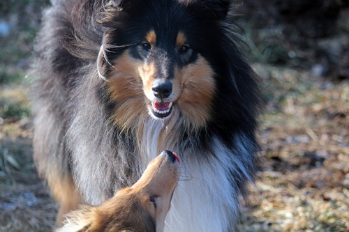 spaziergang14