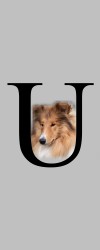 UfrP02