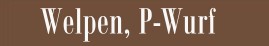WelpenPbodoni40