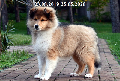 Abschied2 Abschied2