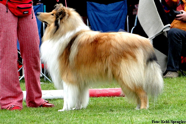 Alec 0302