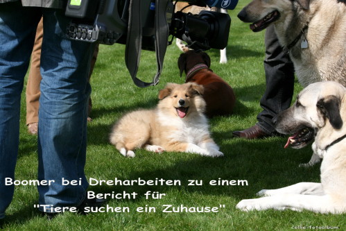 neuesheim2