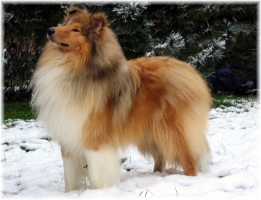 oliver01
