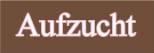 plaufzucht