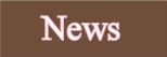plnews